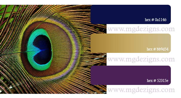 Peacock Color Palette A(bright purple) by MGDezigns