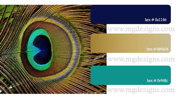 Peacock Color Palette B by MGDezigns