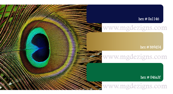 Peacock Color Palette C by MGDezigns