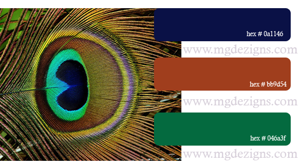 Peacock Color Palette D by MGDezigns