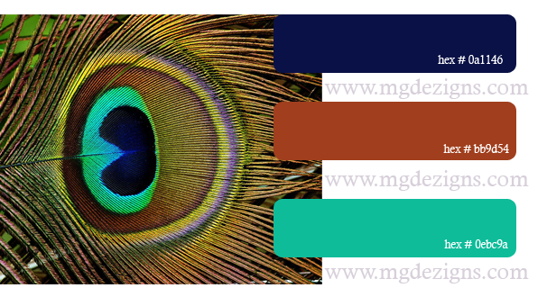 Peacock Color Palette E by MGDezigns