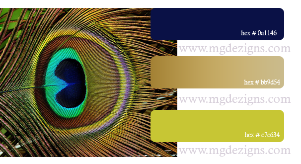 Peacock Color Palette F by MGDezigns