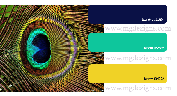 Peacock Color Palette G by MGDezigns
