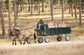 horse cart